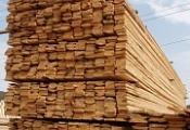 Распродажа доски 25х150х6000 мм Распродажа доски 25х150х6000 мм