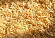 Опилки из Караканской сосны
