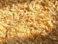 Опилки из Караканской сосны